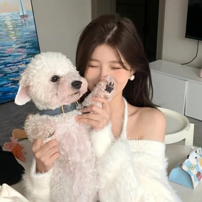 双龙会粤语